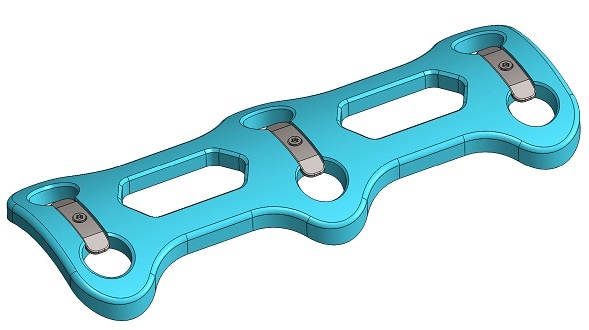 Spinal-Plate-Assy-Sm.jpg